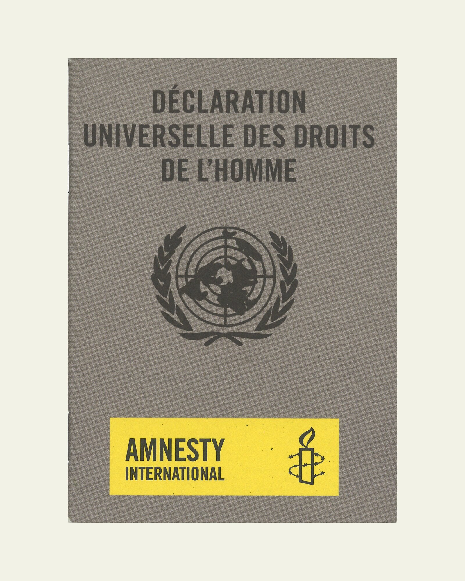 Déclaration universelle des droits humains