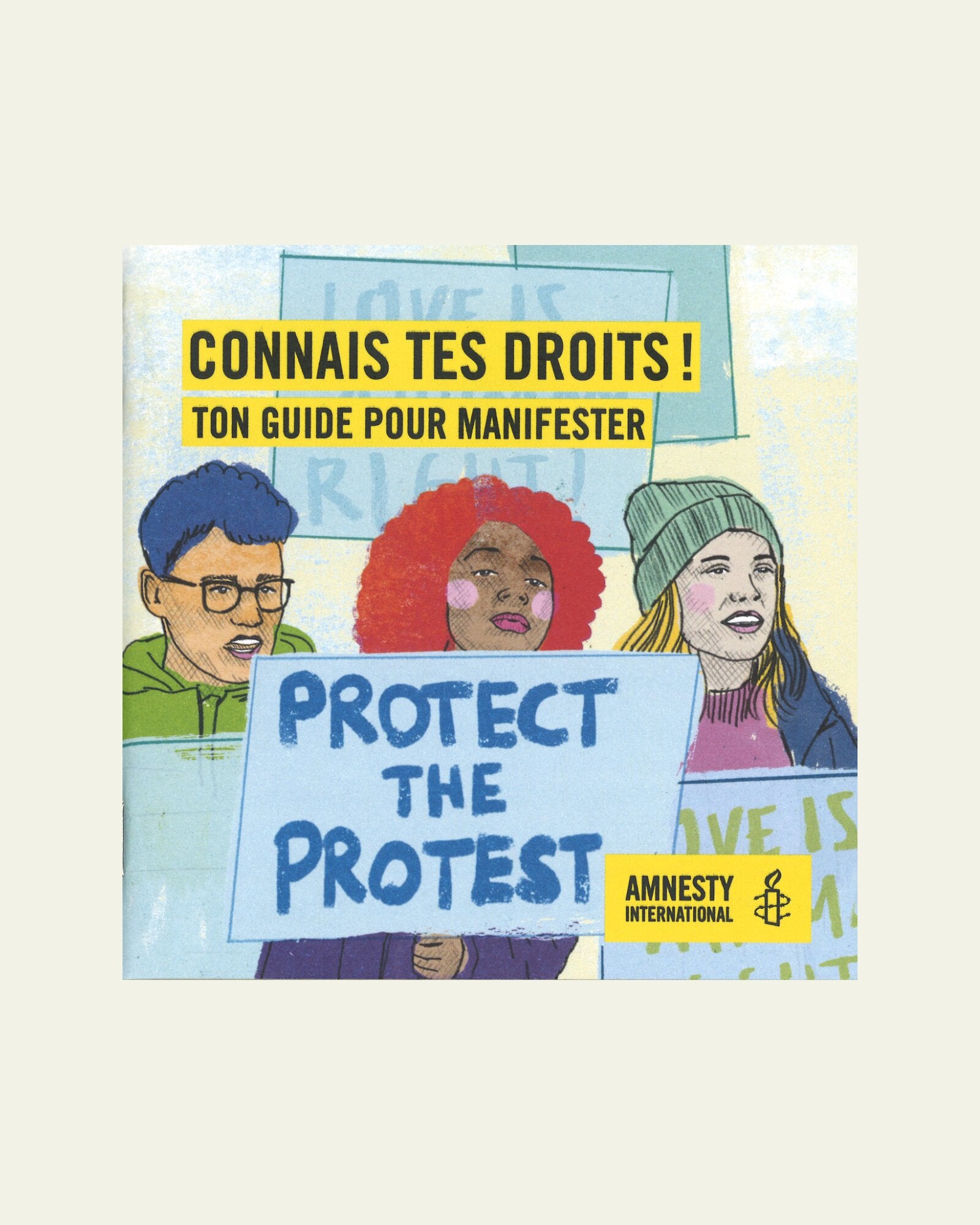 Guide pour manifester, Protect the Protest