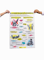 Poster: Allgemeine Erklärung der Menschenrechte in verschiedenen Sprachen