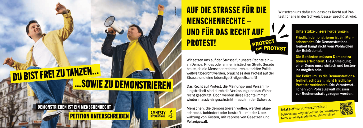 Flyer, Kampagne und Petition «Protect the Protest»