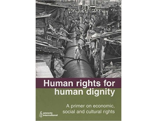 Human rights for human dignity: a primer on ESCR