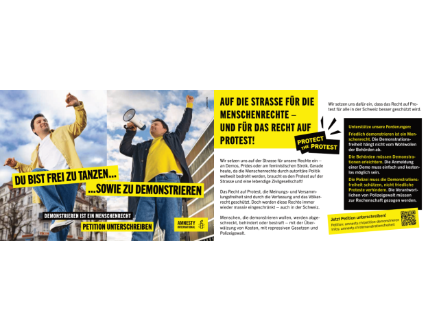 Flyer, Kampagne und Petition «Protect the Protest»